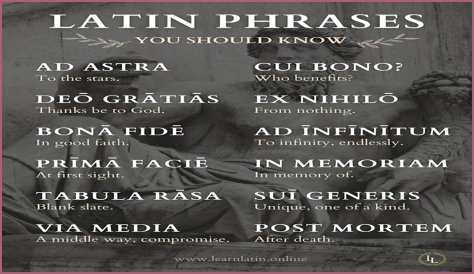 A Profile Of A Latin Beauty