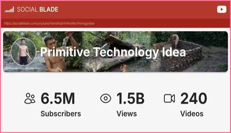 Primitive Technology Idea video statistics