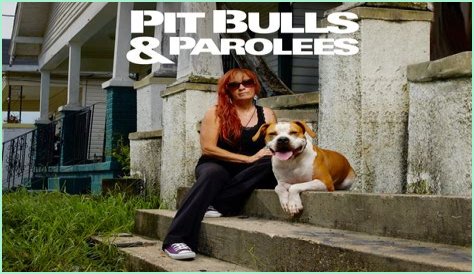What Happened to Moe on Pit Bulls and Parolees?